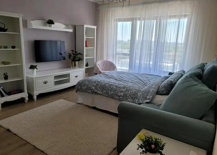 Ana * 부쿠레슈티